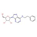 N6-(2-Phenylethyl)adenosine