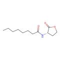 N-Octanoyl-L-homoserine lactone