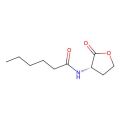 N-Hexanoyl-L-homoserine lactone