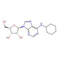 N6-Cyclohexyladenosine