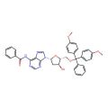 N6-Benzoyl-5′-O-(4,4′-dimethoxytrityl)-2′-deoxyadenosine