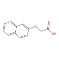 2-Naphthoxyacetic acid