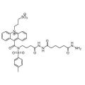 吖啶酰肼（NSP-SA-ADH）
