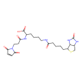 N-(3-马来酰亚胺基丙酰基)生物胞素