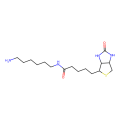 N-生物素基-1,6-己二胺