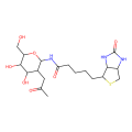N-GlcNAc-生物素