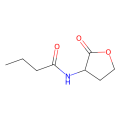 N-丁酰-L-高丝氨酸内酯