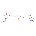 N-Boc-Biocytin