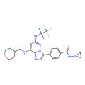 N-cyclopropyl-4-[8-(oxan-4-ylmethylamino)-6-[(1,1,1-trifluoro-2-methylpropan-2-yl)amino]imidazo[1,2-b]pyridazin-3-yl]benzamide