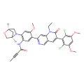 N-[5-[3-(2,6-dichloro-3,5-dimethoxyphenyl)-1-ethyl-2-oxo-1,6-naphthyridin-7-yl]-4-methoxy-2-[(1R,4R)-2-oxa-5-azabicyclo[2.2.1]heptan-5-yl]phenyl]but-2-ynamide