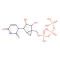 (N)methanocarba-UTP