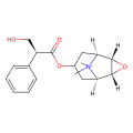 N-methyl scopolamine