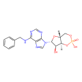 N⁶ benzyl-cAMP