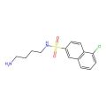 N-(4-aminobutyl)-5-chloronaphthalene-2-sulfonamide