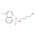 N-(4-aminobutyl)-5-chloronaphthalene-1-sulfonamide