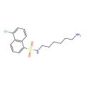 N-(6-Aminohexyl)-5-chloro-1-naphthalenesulfonamide