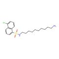 N-(10-aminodecyl)-5-chloronaphthalene-1-sulfonamide