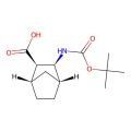 (1S,2R,3S,4R)-3-(tert-butoxycarbonylamino)norbornane-2-carboxylic acid