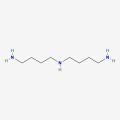 N1-(4-氨基丁基)丁烷-1,4-二胺