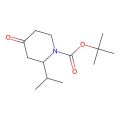 1-N-Boc-2-异丙基哌啶-4-酮