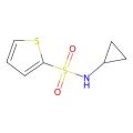N-环丙基噻吩-2-磺酰胺
