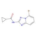 N-(5-溴-[1，2，4]三唑并[1，5-a]吡啶-2-基)环丙烷甲酰胺