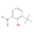 2-叔丁基-6-硝基苯酚