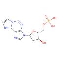 1,N(6)-Ethenodeoxyadenosine monophosphate