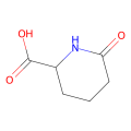 (S)-2-哌啶酮-6-羧酸