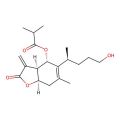 6-O-Isobutyrylbritannilactone