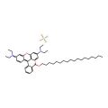 Octadecyl Rhodamine B perchlorate