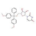 5'-O-DMT-rU