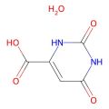 Orotic acid hydrate
