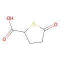 5-氧代硫杂环戊烷-2-羧酸