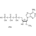2'-OMe-ATP·3Na(水溶液)