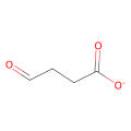 4-oxobutanoate