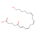 5-oxo-20-HETE