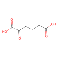 α-oxoadipic acid