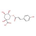 5-O-(E)-p-Coumaroylquinic acid