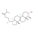 Obtusifoliol