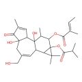 12-O-Tiglylphorbol-13 –isobutyrate