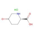 (2R)-5-oxopiperidine-2-carboxylic acid hydrochloride