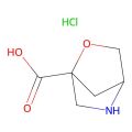 2-oxa-5-azabicyclo[2.2.1]heptane-1-carboxylic acid;hydrochloride