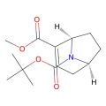 O8-tert-butyl O2-methyl (1R,5S)-8-azabicyclo[3.2.1]oct-2-ene-2,8-dicarboxylate