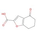 4-氧代-4,5,6,7-四氢苯呋喃-2-羧酸