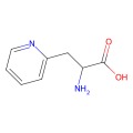 D-3-(2-吡啶基)-丙氨酸