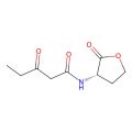 Pentanamide, 3-oxo-N-[(3S)-tetrahydro-2-oxo-3-furanyl]-