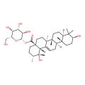 Pomolic acid 28-O-beta-D-glucopyranosyl ester