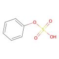 Phenyl sulfate