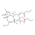 Phorbol 12,13-dibutyrate